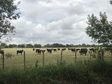Méditerranée-Cévennes - Itinéraire complet Sur les Pas des Huguenots