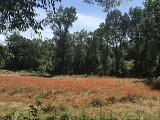 Méditerranée-Cévennes - Itinéraire complet Sur les Pas des Huguenots