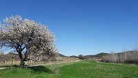 Vers Quissac