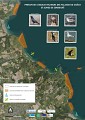 Patrimoine naturel des falaises du goelo