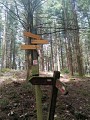 St Just d'Avray - Entre les prés et la forêt