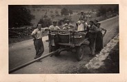 Balade sonore - Découverte de Zittersheim