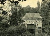 L'île des Corbeaux