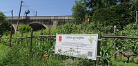 Les vignes du Perreux