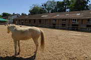 La Cartoucherie de Vincennes