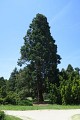 L'arboretum de Paris