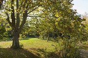 Parcours central du Jardin sans fin