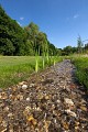 Parcours central du Jardin sans fin