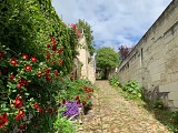 FONTEVRAUD-L'ABBAYE à MONTSOREAU (en 1 jour)