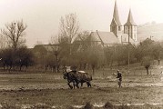 Balade sonore - Découverte de Kirrwiller