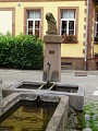 Découverte de Weinbourg