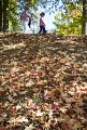 Jardin du Bois Marquis