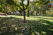 Jardin du Bois Marquis