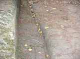 La Porte romaine de Bons