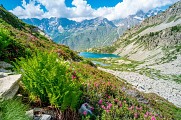 Lacs de Pétarel