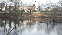étang de MAison-Rouge