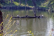 Etang de MAison-Rouge