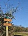 PR 21-Sur les pas de Corot à Coubron
