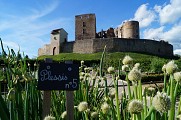 Château de Montrond-les-Bains