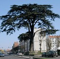PR 15-Une cité fleurie