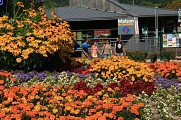 La Maison du Tourisme