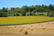 AlbretTourisme03