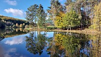 Étang du Moulin du Teil