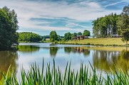 Étang du Moulin du Teil