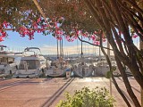 Office de Tourisme de Bandol Catégorie I