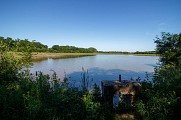 Les étangs de la Dombes