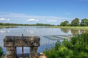 Les étangs de la Dombes