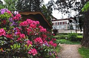 Parc Municipal de Saint-Galmier