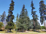 Parc thermal