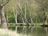 Domaine départemental de Chamarande