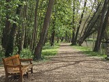 Domaine départemental de Chamarande