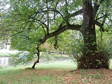 Arboretum de Segrez