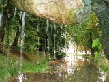 Arboretum de Segrez