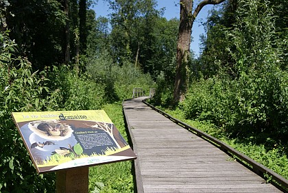 Domaine de Bellenville