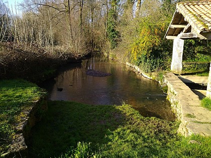 Rivière souterraine de la Roche