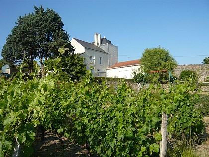 Gîte Tout lui faut