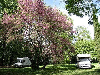 Ferme et Musée du Pruneau - aire de stationnement