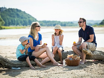 LE PIQUE-NIQUE DE ROBINSON