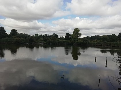 Domaine départemental et communal du marais d'Itteville