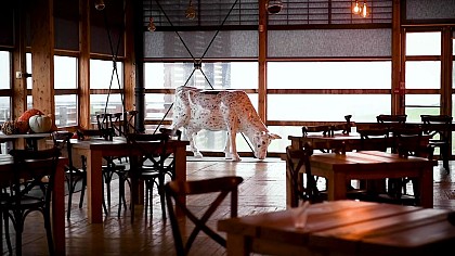 Restaurant Le Lanaud