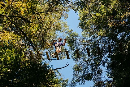 Grimper dans les arbres au Parcours Aventure de l'Écureuil