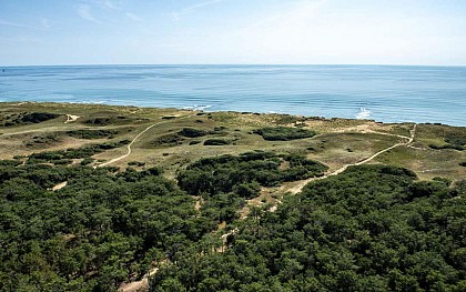La Forêt domaniale d'Olonne