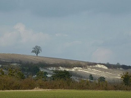 Randonnée Coteaux du Perthois