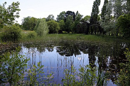 Parc des Poumons verts