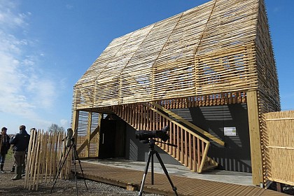 RÉSERVE NATURELLE RÉGIONALE MARAIS DE BRIÈRE - SITE PIERRE CONSTANT