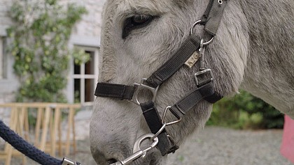 Balad'Anes de l'Hermeton